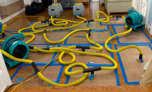 Professional Storm Water Damage Restoration technician working in Townville, SC